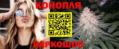 PSILOCYBIN Владивосток