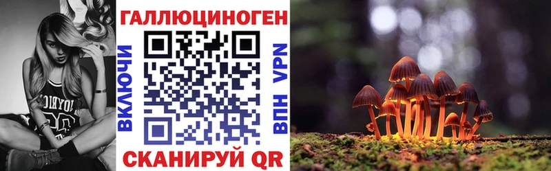 Галлюциногенные грибы Psilocybe  Великие Луки 