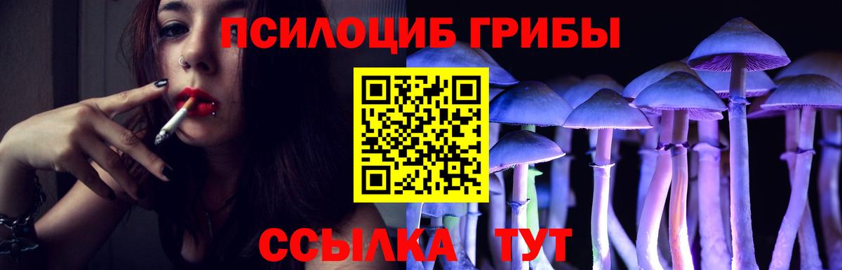 Псилоцибиновые грибы GOLDEN TEACHER Великие Луки